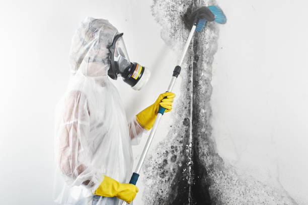 Best Forensic Mold Investigation  in University Heights, IA