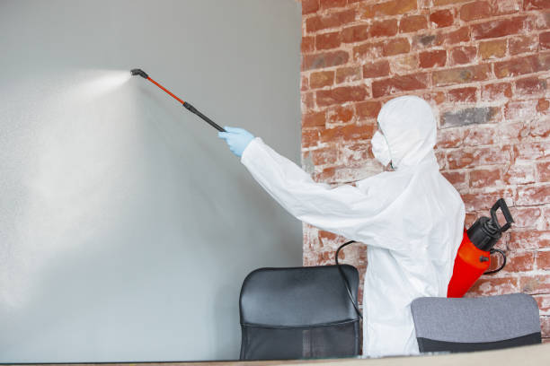 Best Comprehensive Air Testing for Mold Contaminants  in University Heights, IA