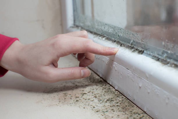 Best HVAC Mold Inspection and Cleaning  in University Heights, IA