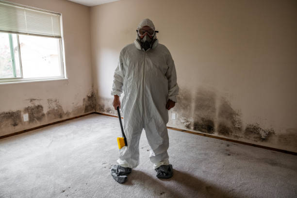 Best Mold Odor Removal Services  in University Heights, IA